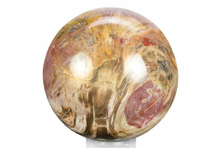 Colorful Petrified Wood (Araucaria) Sphere - Madagascar #245544